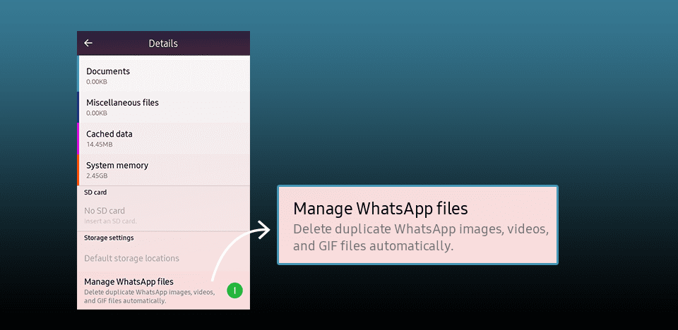 Smart-Manager-Manage-Whatsapp-files